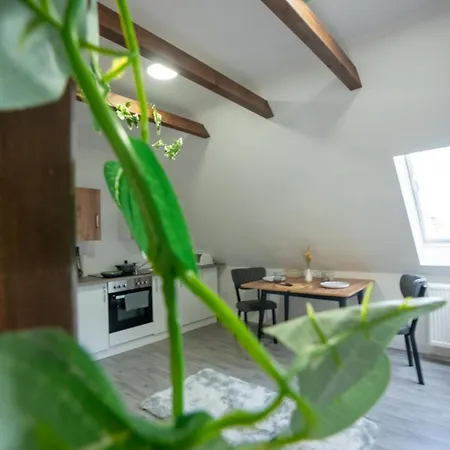 Serviceroom24 - Attic In Mit Wlan - Küche - Badezimmer